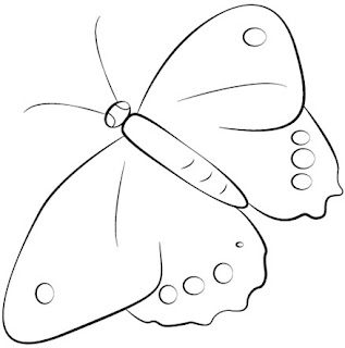 how-to-draw-butterfly-step-0-3203364