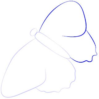how-to-draw-butterfly-step-3-2084704