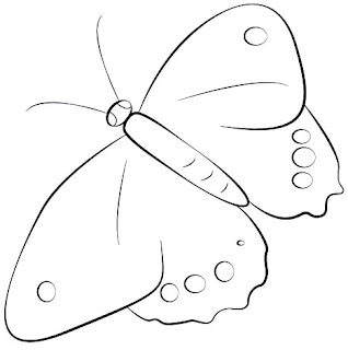 how-to-draw-butterfly-step-5-5174041