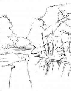 how-to-draw-a-realistic-river-step-6_1_000000085265_3-6978603