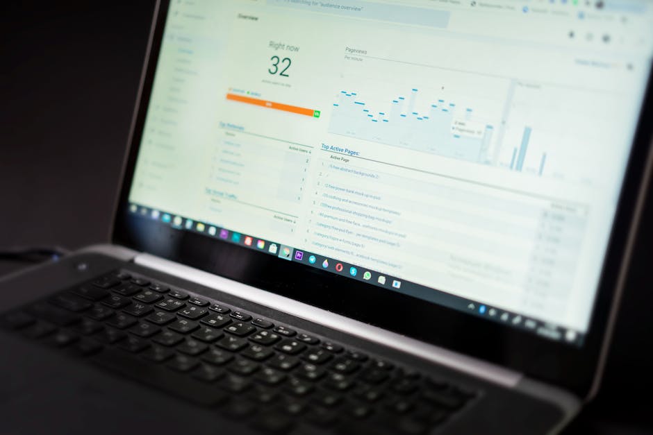 Spesialis SEO & Schema Data (Senior)