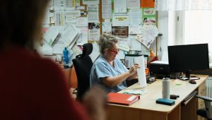Staff Administrasi Senior Jakarta