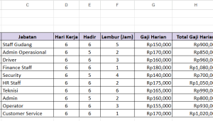 Lowongan Kerja Payroll Administrator