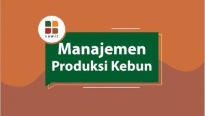 Lowongan Kerja SEO Senior