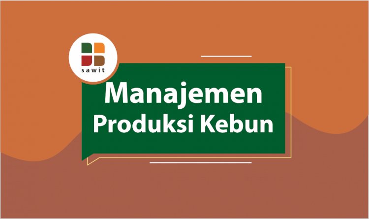 Lowongan Kerja SEO Senior